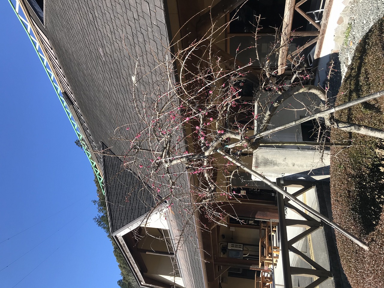 素晴らしき旅行写真